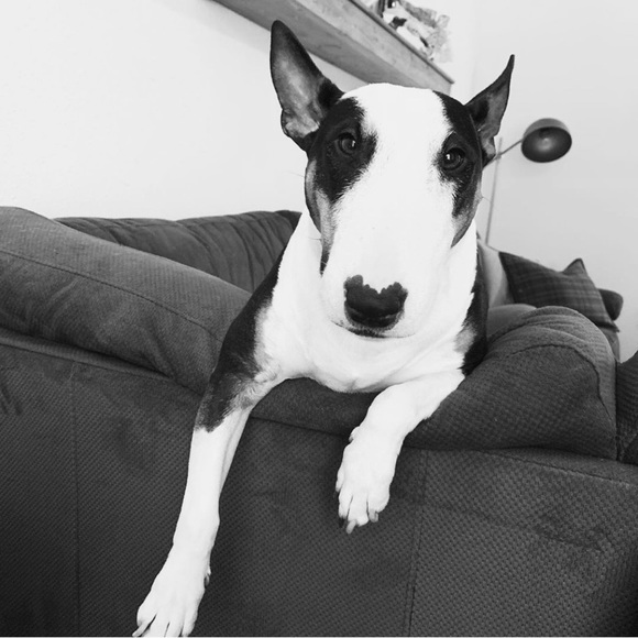 Meet your Posher - Picture 2 of 6